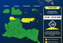 BMKG Juanda: Jawa Timur Berpotensi Diguyur Hujan Petir Sepanjang Hari