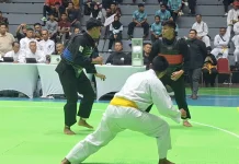 Tim Pemantau IPSI Jatim: Pesilat Unggul Tak Cukup Modal Teknik