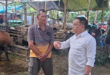DPRD Minta Kelurahan Responsif Kawal Penataan Lapak Kurban Surabaya