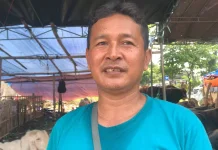 Penjualan Hewan Kurban Menjelang Idul Adha 1447 H Alami Penurunan