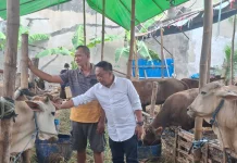 DPRD Surabaya Dorong Langkah Preventif Pasca Temuan Skabies Hewan Kurban