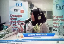 Tanaman TOGA, Warisan Kesehatan yang Menjadi Gaya Hidup Warga Surabaya
