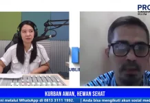 Antibiotika Hewan Kurban Jadi Sorotan