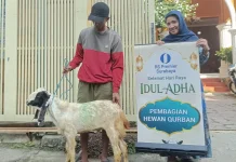 RS Premier Surabaya Tebar Kurban ke 12 Titik