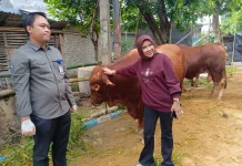 Wabup Sidoarjo Bagikan Ribuan Paket Daging Kurban