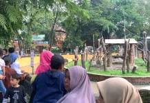 Periode Libur Idul Adha, KBS Catat Jumlah Kunjungan hingga 10 Ribu Pengunjung