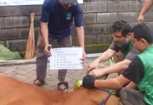 An Nahl Benahi Pelaksanaan Kurban