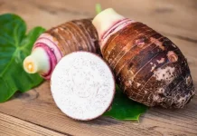 Umbi Bentol, salah satu warisan pangan lokal Indonesia