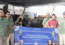Perumda Air Minum Surya Sembada Kota Surabaya Salurkan 13 Sapi Kurban