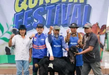 Qurban Festival DT Peduli Jatim, Ribuan Penerima Dapatkan Manfaatnya