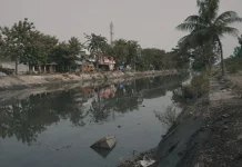 Program Warrior Cara Pemkot Surabaya Edukasi Warga Kelola Sampah