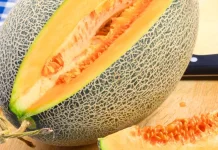 Melon Sweet Hamiqua : Melon Premium Super Manis & Crunchy