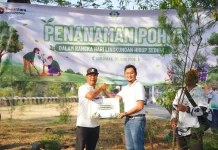 PLN UID Jatim dan DLH Surabaya Tanam 60 Cemara Udang, Perkuat Komitmen Jaga Iklim