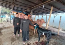 Tahun Baru Islam, Ketua MUI Surabaya Ajak Umat Islam Muhasabah