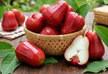 Jambu Citra, Buah Unggulan Indonesia, Manis dan Bernilai Ekonomi Tinggi