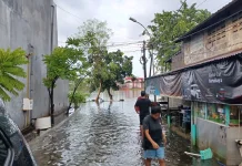 PII Jatim Dorong Pendekatan Resapan untuk Pengendalian Banjir