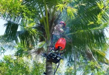 ITS Hadirkan Mocits Bantu Petani Kelapa Panen Lebih Aman