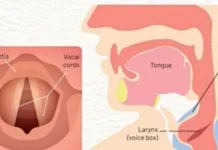 Organ Penting di Balik Kemampuan Berbicara