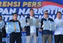 BNN Bongkar Penyelundupan 3,37 Ton Kuncup Bunga Ganja di Gresik