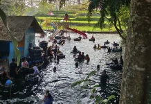 Libur Akhir Pekan Ramai, Wisata Sumber Maron Dipadati Pengunjung