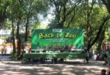 KBS Gelar Program “Back to Zoo”, Ajak Anak Peduli Satwa