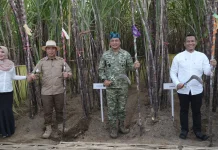 PT SGN Perkuat Ekosistem Industri Gula lewat Panen Tebu Bersama di Jember