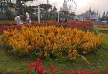 Florawisata Santerra de Laponte, Destinasi Wisata Favorit di Malang Saat Musim Lib
