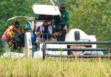 Serapan Beras  BULOG Jatim Lampaui Target