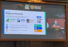 Banggar Dorong Optimalisasi SiLPA 2025 untuk Program Strategis