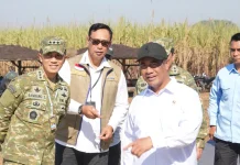 BULOG Perkuat Sinergi Ketahanan Pangan Lewat Panen Raya Serentak TNI