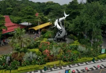 Walikota Eri Dukung Pengusutan Dugaan Korupsi KBS hingga Tuntas