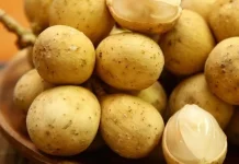 Duku Susu Madu, Si Manis Kaya Manfaat