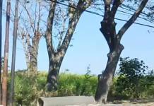 Warga Usulkan Penyemprotan Jalan Diperluas ke Surabaya Barat