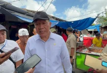 MTI Soroti Lambatnya Respons Penyelamatan KMP Mutiara Sentosa