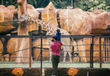 Pemkot Surabaya Seleksi 24 Calon Direksi Perumda Kebun Binatang Surabaya