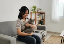 Bukan Sekadar Lucu, Ini Manfaat Memelihara Kucing bagi Kesehatan Mental