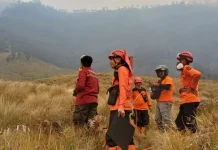 Kawasan Bromo Terbakar, Sebagian Akses Wisata Ditutup