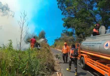 BPBD Jatim Kerahkan Drone Air dan Damkar Padamkan Karhutla Bromo