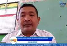 PTKNI Dorong Rekrutmen CPNS Guru Berimbang