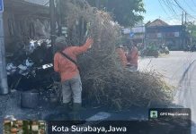 Aduan Alang-Alang Kering Langsung Ditindaklanjuti
