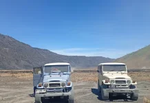 Karhutla Bromo Makin Parah, Seluruh Akses Wisata TNBTS Ditutup