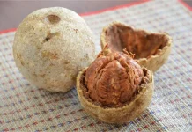Buah Kawista, Si Buah Langka Khas Rembang yang Punya Cita Rasa Unik