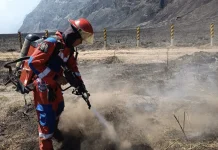 Damkar Surabaya Kerahkan Tim Bantu Padamkan Karhutla Bromo