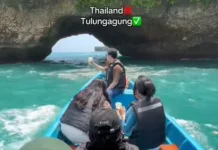 Pantai Sine Tulungagung, Pesona Pantai Selatan dengan Nuansa Alam dan Budaya Lokal