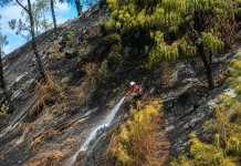 Karhutla Bromo Padam, Tim Gabungan Sisir Potensi Bara