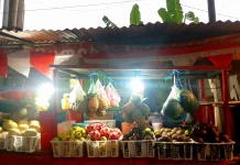 Menjaga Kesegaran dan Kebugaran Tubuh lewat Segelas Jus Buah