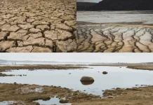 El Nino Ancam Indonesia dengan Kekeringan dan Karhutla