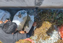 Pemkot Surabaya Pastikan Pengelolaan Limbah B3 RSUD EC Sesuai Prosedur