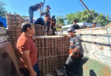 BPBD Jatim Fasilitasi Pengiriman 8,7 Ton Telur Bantuan dari Blitar ke NTT