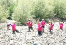 Pertamina Patra Niaga Tanam 1.000 Mangrove di KEE Ujung Pangkah